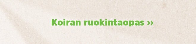 Kaikki tieto koiran ruokinnasta!