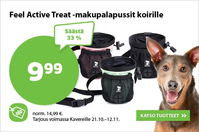 Koirat Laaja Valikoima Tuotteita Koirille Musti Ja Mirri