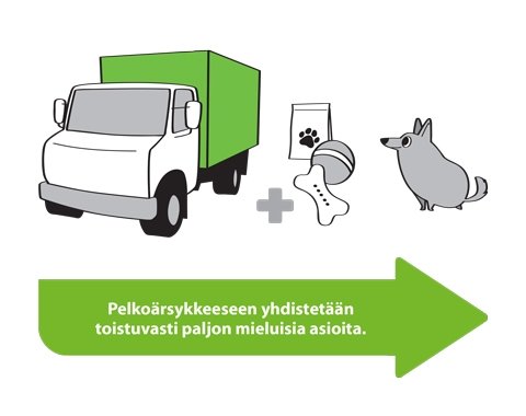 koira pelkää