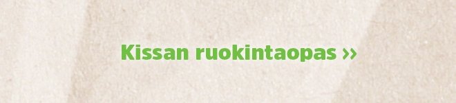 Kaikki tieto kissan ruokinnasta!