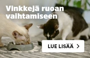 Vinkkejä kissanruoan vaihtamiseen
