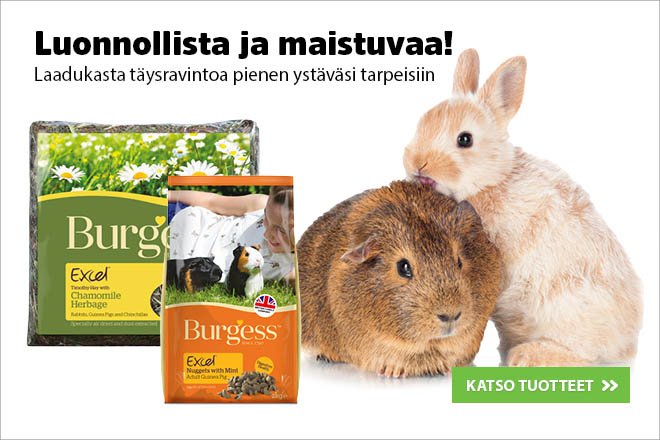 Herkut pienel&auml;imille