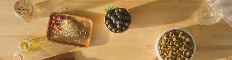 Koiran tai kissan ruoan vaihtaminen