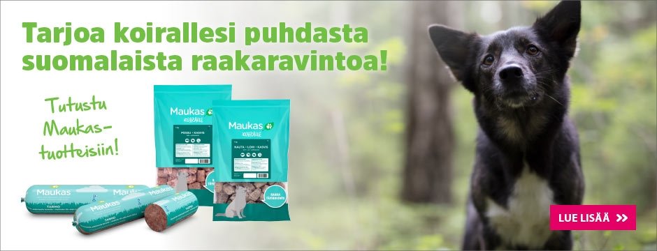 Maukas