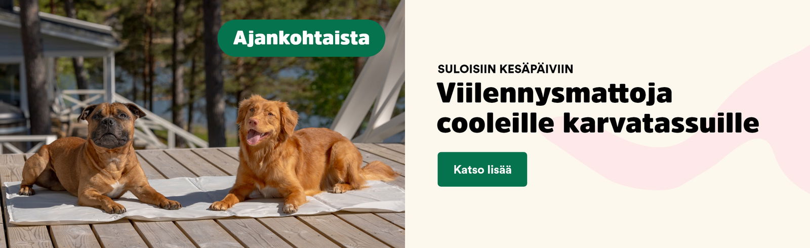 Catsummerpage_hero1_coolingbanner