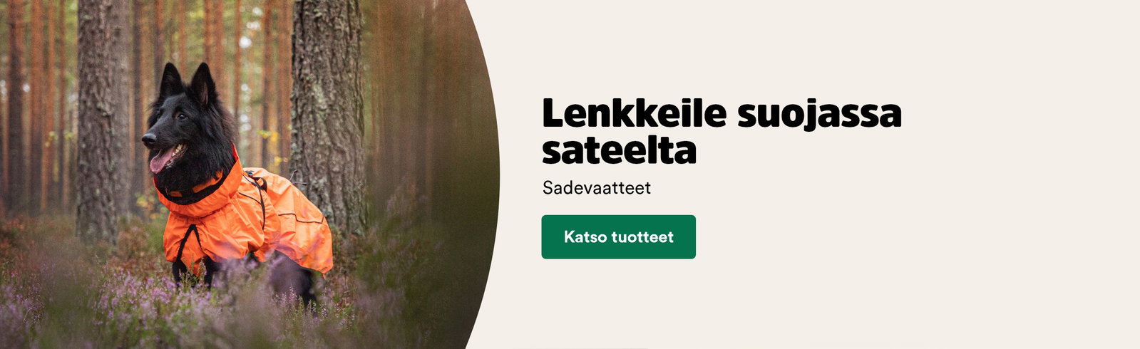 Koiran sadevaatteet
