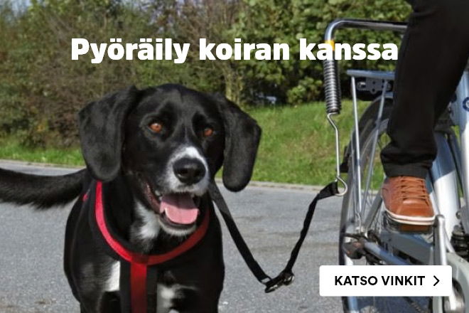 Py&ouml;r&auml;ily koiran kanssa