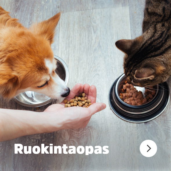 puppyfront_navigation_feedingguide