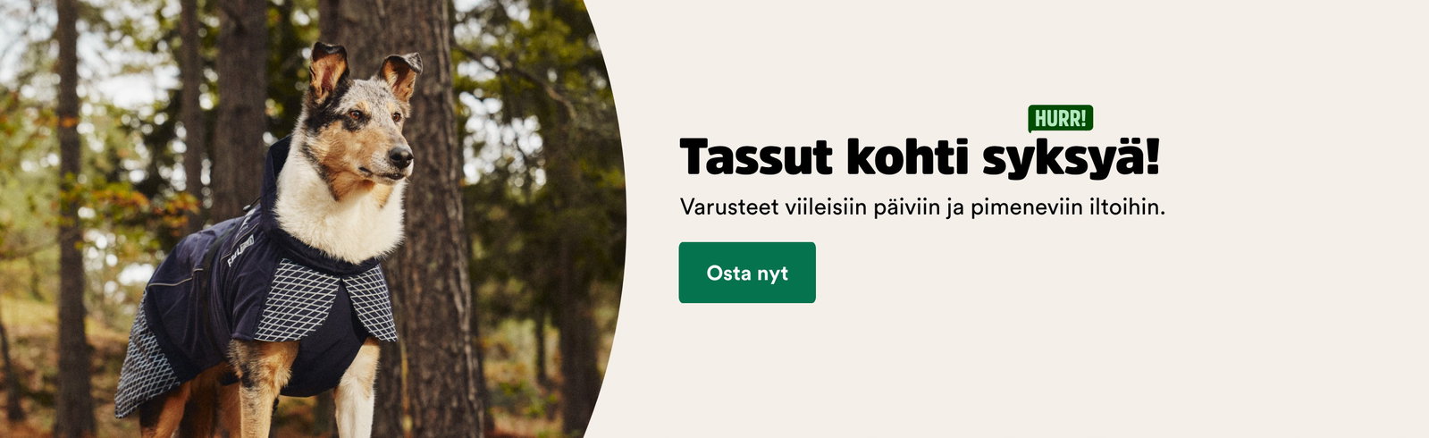 tassut kohti syksy&auml;!