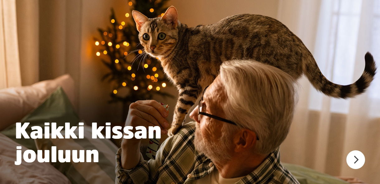 Kaikki kissan jouluun!