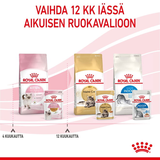 Royal Canin Kitten Jelly kissanpennun märkäruoka 12x85 g