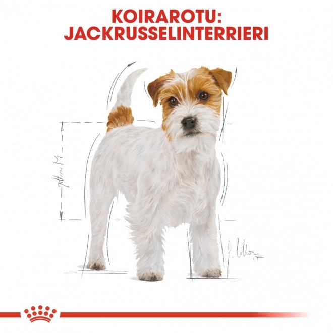 Royal Canin Breed Jack Russell Adult