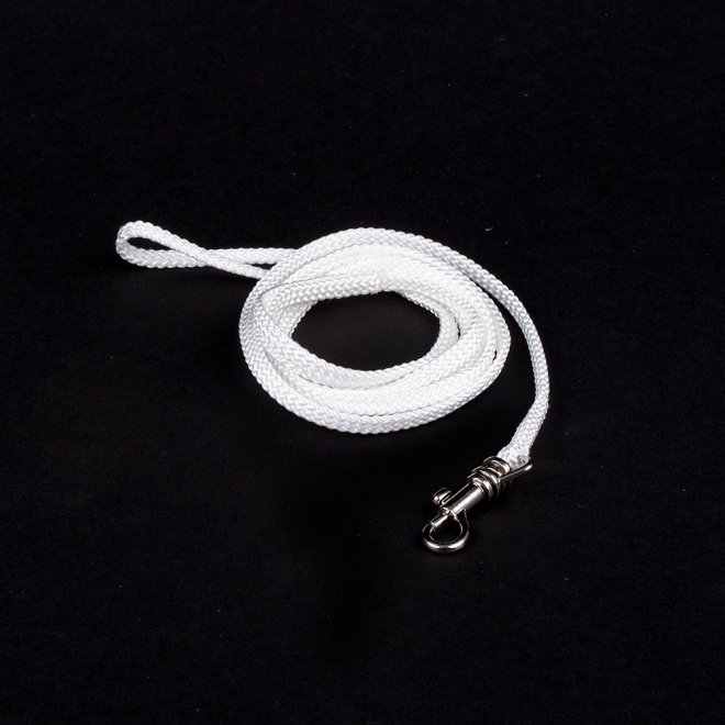 Show Dog Näyttelytalutin pyöreä hopean värisellä lukolla, valkoinen (3 mm)