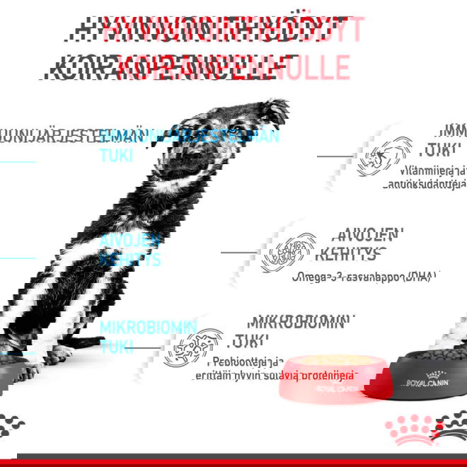 Royal Canin Maxi Puppy koiranpennun kuivaruoka