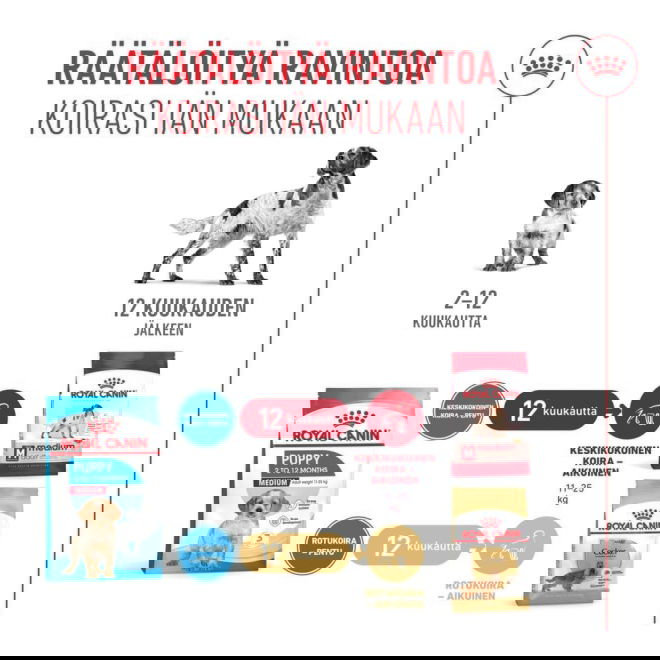 Royal Canin Medium Puppy koiranpennun kuivaruoka