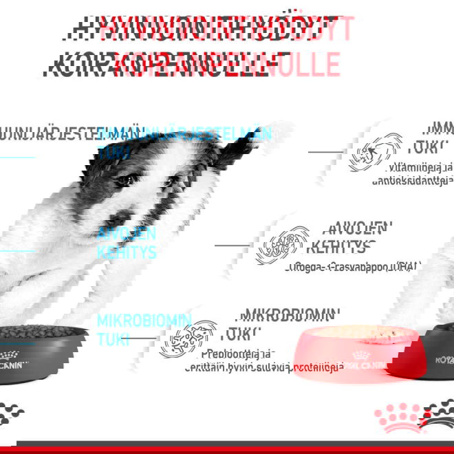 Royal Canin Mini Puppy koiranpennun kuivaruoka