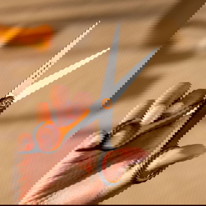 Fiskars trimmaussakset