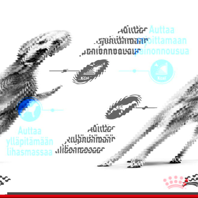 Royal Canin Light weight Care Maxi Adult koiran kuivaruoka