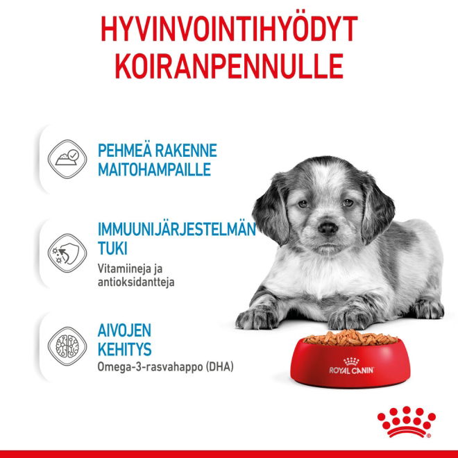 Royal Canin Medium Puppy Gravy koiranpennun märkäruoka 10x140g