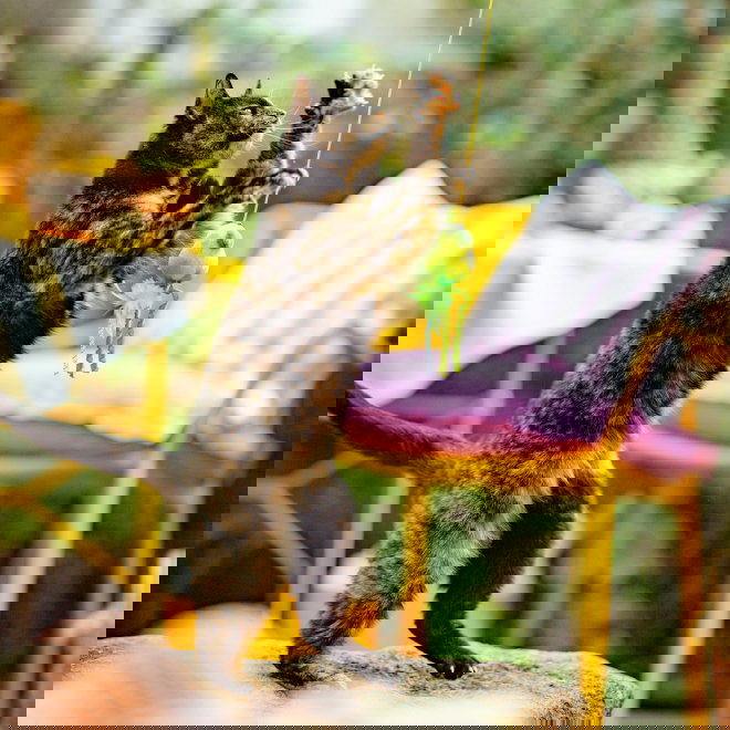 Little&Bigger Juicy Vibes -p&auml;&auml;ryn&auml;sauva &auml;&auml;nell&auml;