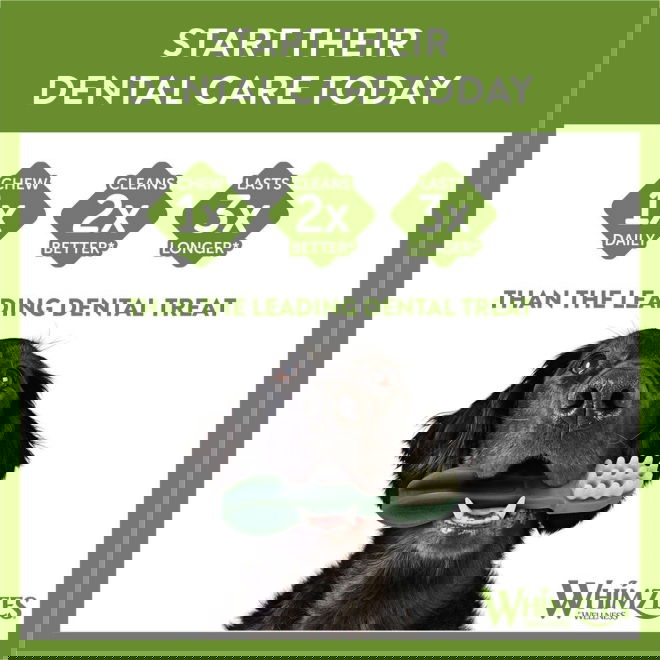 Whimzees puruhammasharja