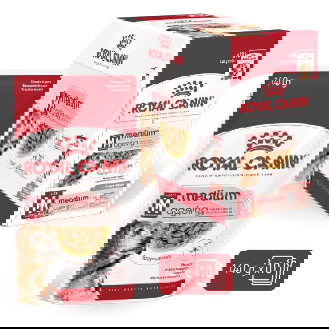 Royal Canin Medium Ageing Gravy koiran m&auml;rk&auml;ruoka 10x140g