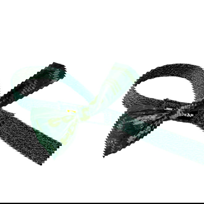 Ruffwear Front Range Flex Leash (Vihre&auml;)