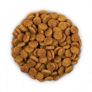 hills id koiranruoka