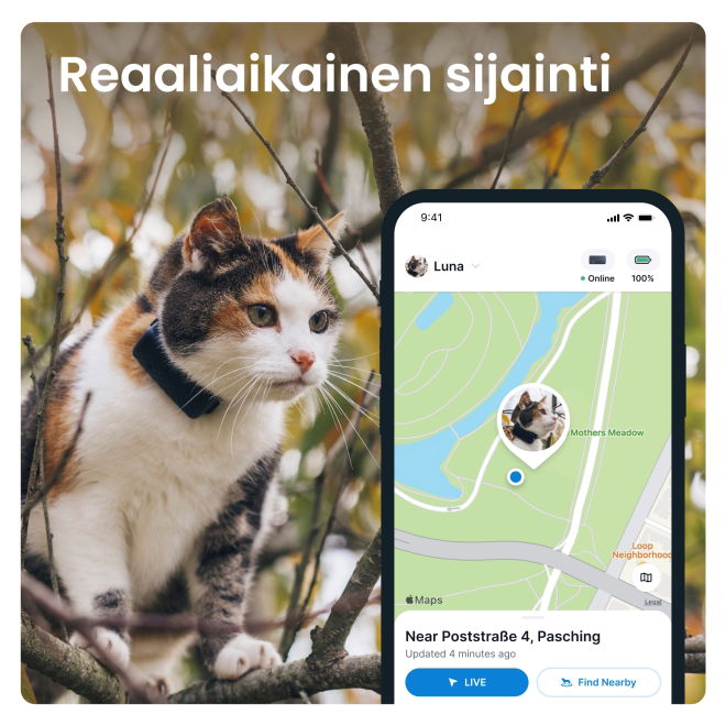 Tractive CAT Mini – kissan GPS ja terveysvahti