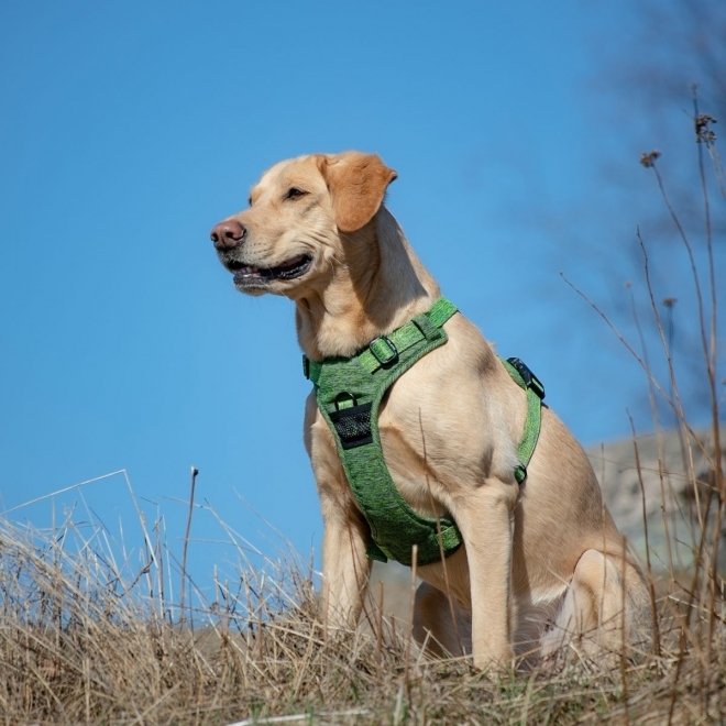 Feel Active Training Eco koiran valjaat, vihreä