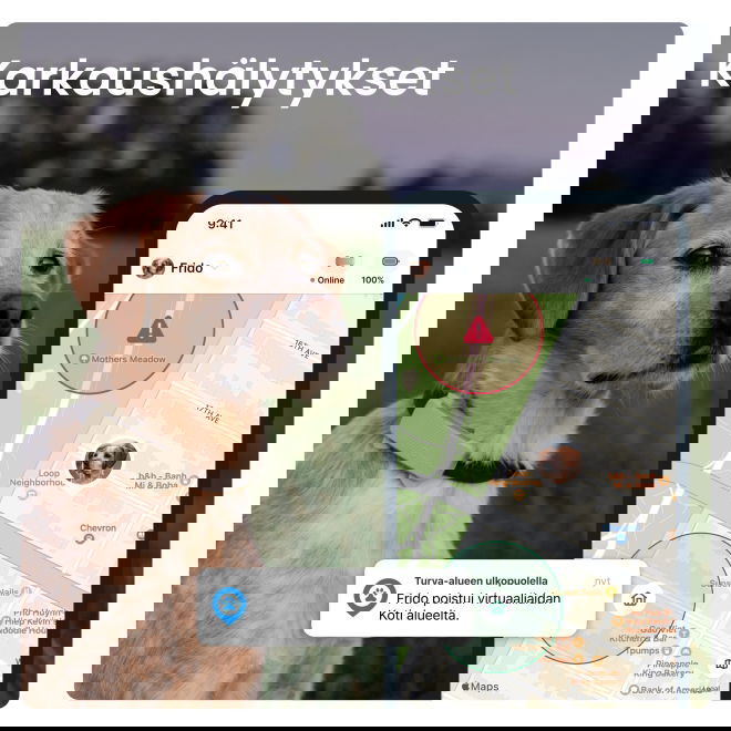 Tractive DOG 6 koira-GPS + terveysvahti &ndash; ruskea