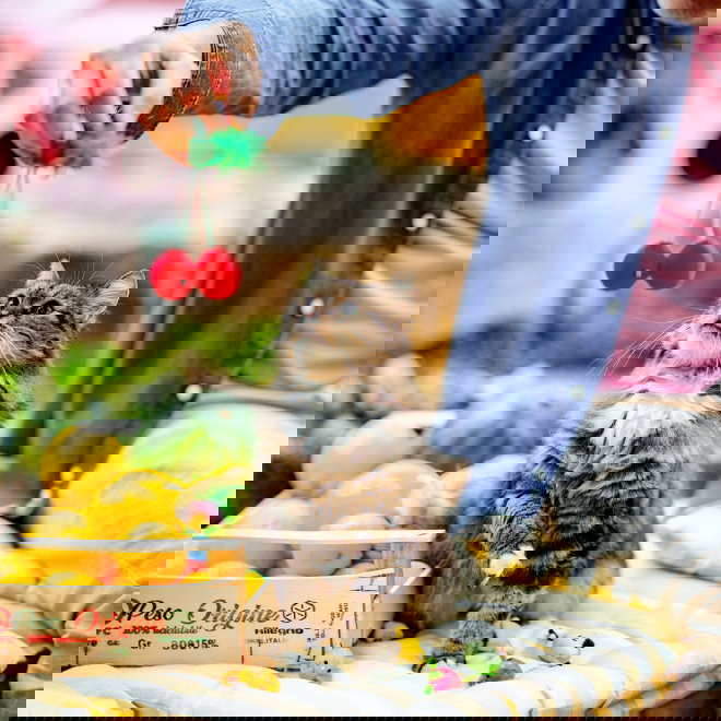 Little&Bigger Juicy Vibes helistinkirsikat