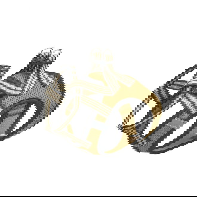 Basic Cat Sporty NoEscape kissanvaljas