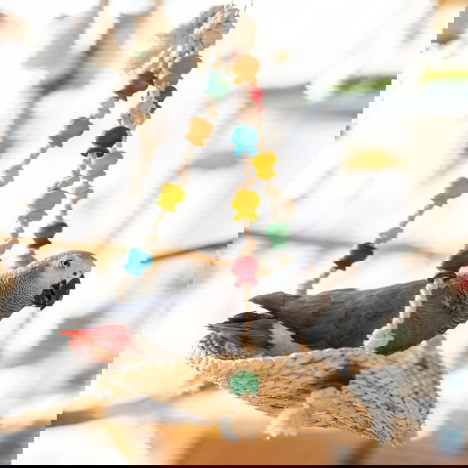 Quapas! Bird Toy Cereal 34x29 cm