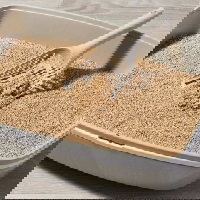 Smily Eco Wood Chips 20 L