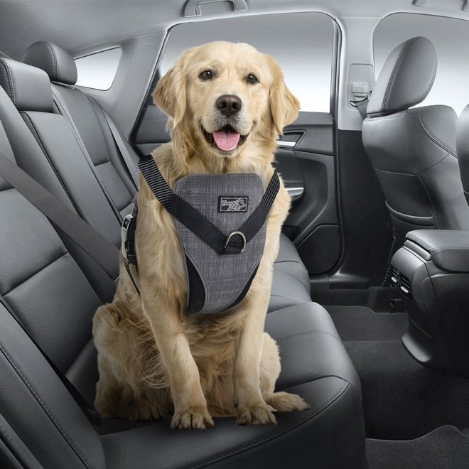 All For Paws Travel Dog autovaljas 