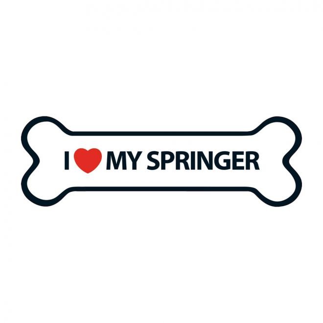 Magnet&Steel Magnet I Love My Springer
