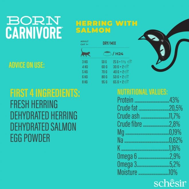 Schesir Born Carnivore silli & lohi