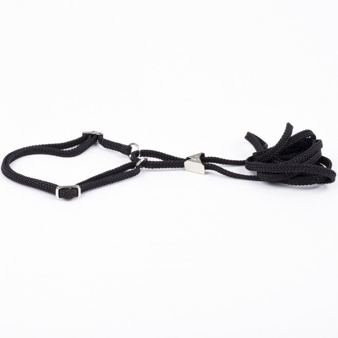 Show Dog Näyttelytalutin litteä puolikiristävä kaulain pyykkipoika-säädöllä, musta (5 mm x 120 cm)