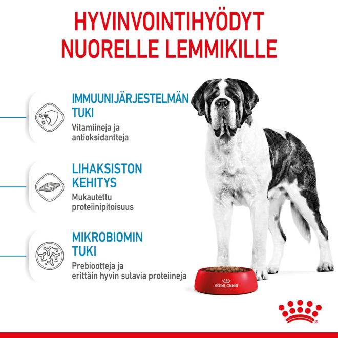 Royal Canin Giant Junior koiranpennun kuivaruoka