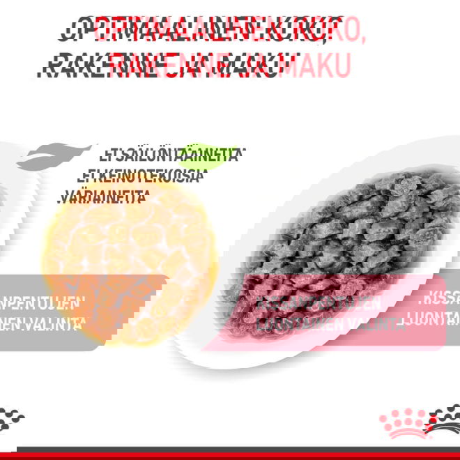 Royal Canin Kitten Gravy kissanpennun märkäruoka 12x85 g