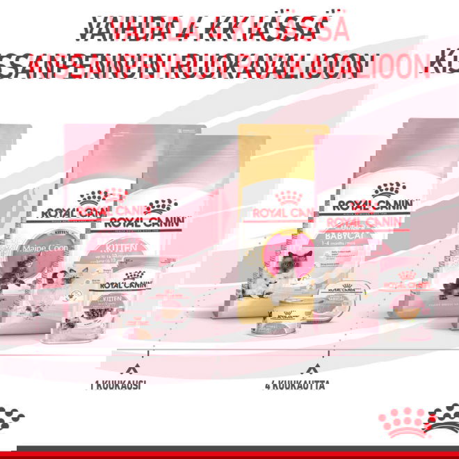 Royal Canin Mother & Babycat kissan ja kissanpennun kuivaruoka