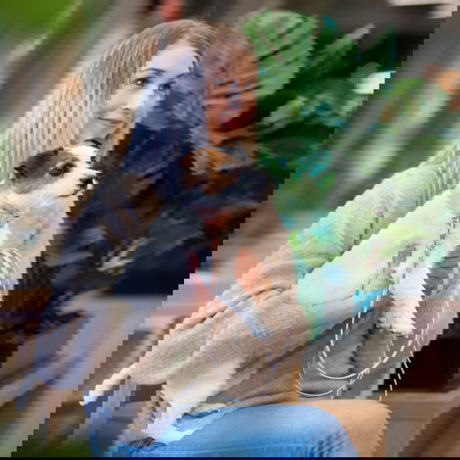 Tyylivoitto braid koirantalutin, nude/ruusukulta (9mm x 200cm)