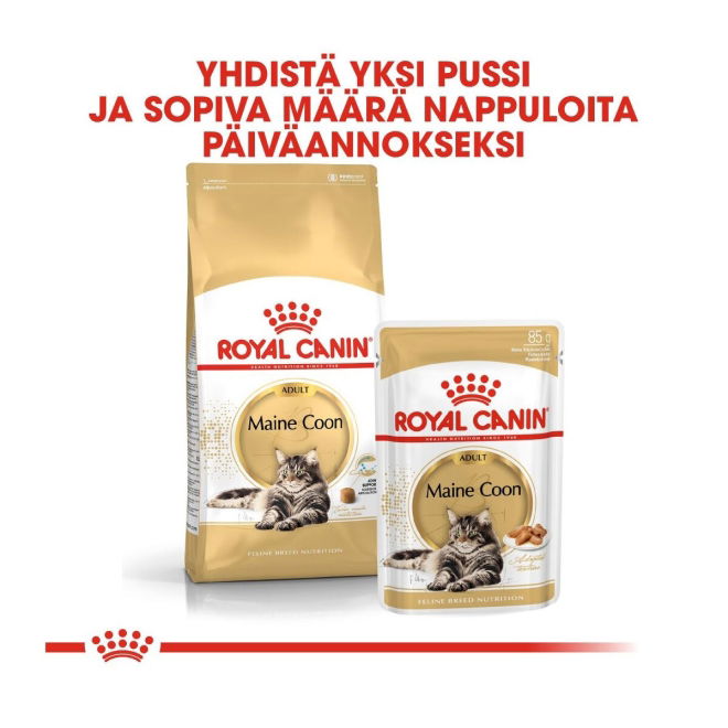 Royal Canin Maine Coon Adult Gravy kissan märkäruoka 12 x 85 g