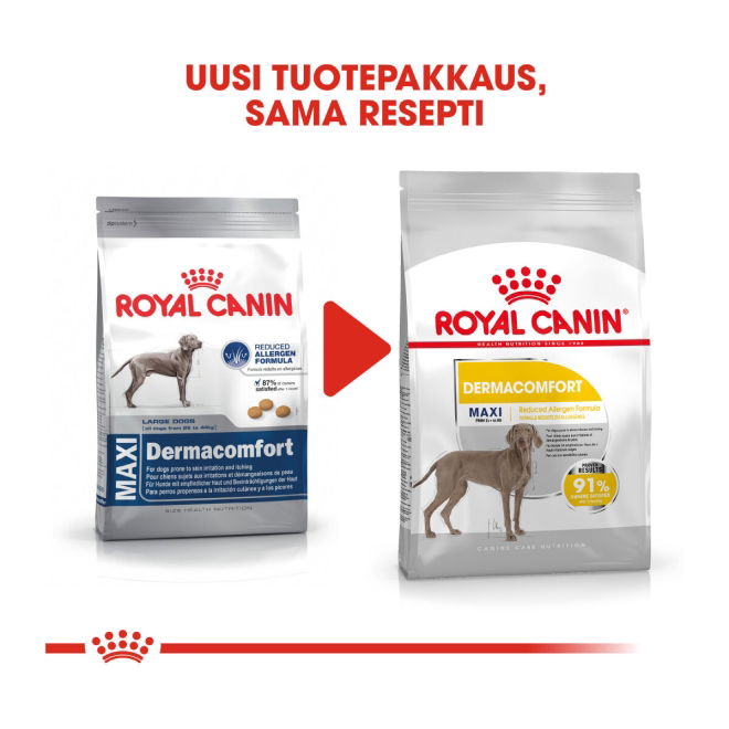 Royal Canin Dermacomfort Maxi Adult koiran kuivaruoka