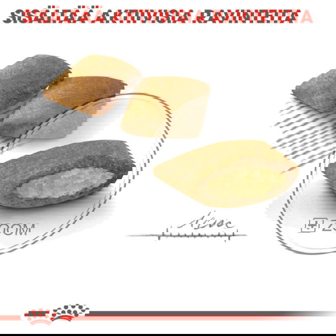 Royal Canin Exigent Mini Adult koiran kuivaruoka