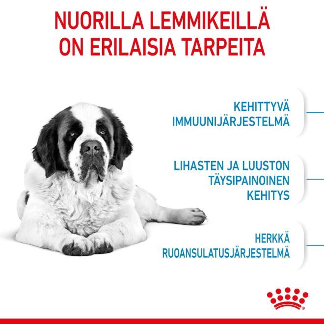 Royal Canin Giant Junior koiranpennun kuivaruoka