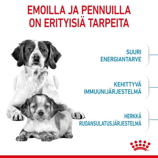 Royal Canin Medium Starter koiran ja koiranpennun kuivaruoka