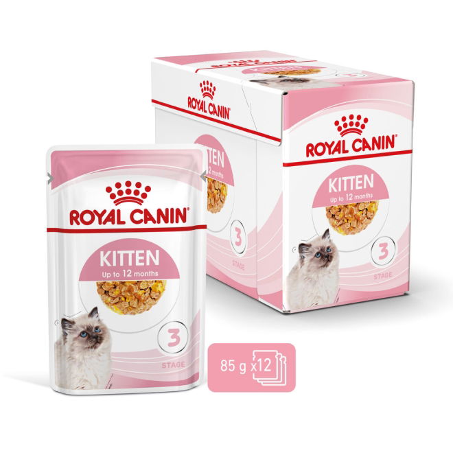 Royal Canin Kitten Jelly kissanpennun märkäruoka 12x85 g