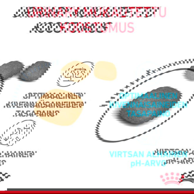 Royal Canin Urinary Care Adult kissan kuivaruoka